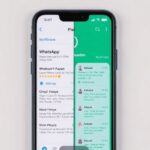 Histórico de notificações: como recuperar mensagens apagadas no Android e iPhone
